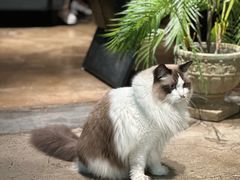 -咖法森林·咖啡  酒吧(天河店)