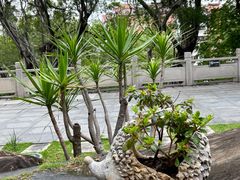 -船政文化景区-罗星塔公园