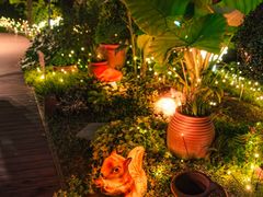 -金山植物公园