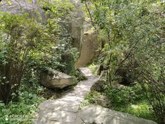 -秦岭终南山世界地质公园翠华山景区