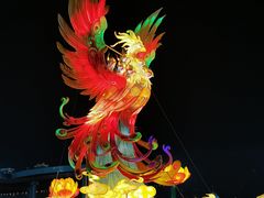 -武汉园博园(武汉自然博物馆)