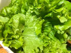 -草原塞蛮羊火锅城(港湾店)