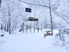 -青峰峡国家森林公园