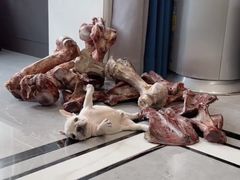 -爱侣宠医·鹦鹉专科·小型哺乳类·异宠专科(灵石路店)