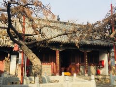 -泰山风景名胜区-普照寺