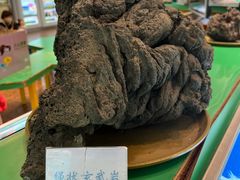 -海口火山口国家地质公园