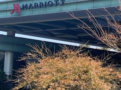 -宁波万豪酒店