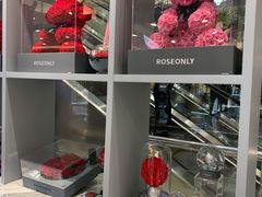 -ROSEONLY诺誓(国际广场购物中心店)