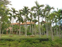 5-三亚海棠湾万丽度假酒店