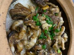 -红星光发煲仔饭(大石街店)