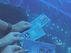 -成都浩海立方海洋公园