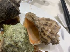 小海螺-海景壹号大酒店(惠钱路店)