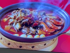 -眉州东坡·熊猫主题餐厅(枫蓝店)