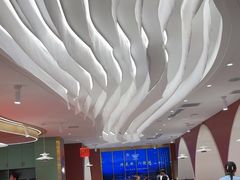 -马白开来特色羊排揪片子  (总店)