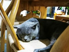 -NOTOOCAFE不二咖啡馆(岩前店)