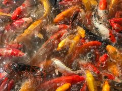 -泰安地下龙宫景区