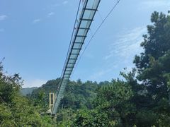-木兰云雾山