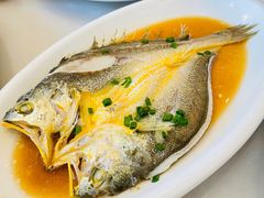 清蒸大黄鱼-华盛丰温州大排档(东三环南路店)