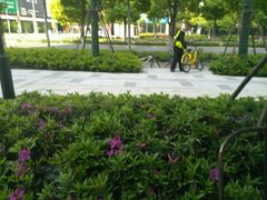 -龙湖虹桥天街-停车场