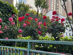 -龙湖重庆时代天街