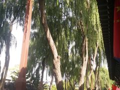 -张掖大佛寺景区