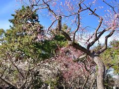 -京都御所