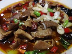 -正蓝旗草原特蒙餐