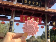 -广州莲花山旅游区