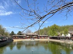 -尚庄度假村·庭台树下·户外烧烤·团建CS·轰趴营地(上庄水库店)