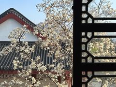 -堤角公园