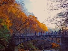 -光雾山旅游景区