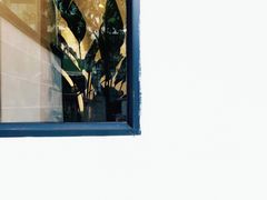 -育星南雅苑幼儿园