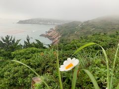 -东极岛景区