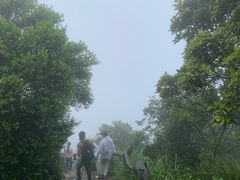 -梧桐山风景名胜区