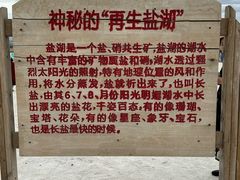 -盐湖景区