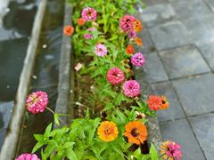 -西安大兴汤院遗址公园