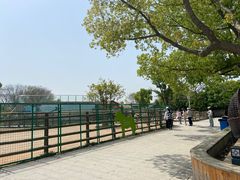 -苏州太湖西山岛开心农场