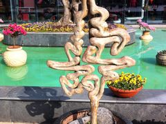 -南通洲际绿博园