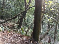 -北高峰