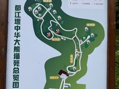 -都江堰中华大熊猫苑