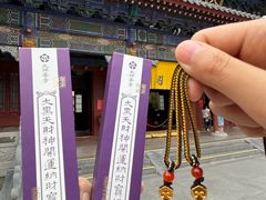 -西安大兴善寺