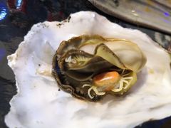 -千岛蚝高压锅生蚝·人参火锅(白云万达店)