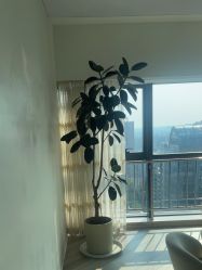 -HEYAN荷妍专业脱毛连锁机构