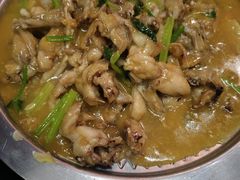 -美蛙四季(亦庄店)