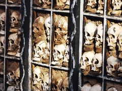 -比如骷髅墙景区