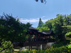 -枫桥景区
