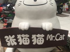 -张猫猫爱吃鱼