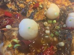 -鱼酷活鱼烤鱼(中联广场店)