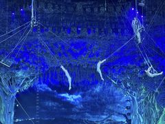 -广州长隆国际大马戏