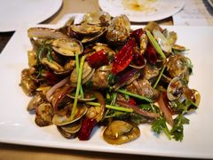 辣炒花蛤-常记蚝味鲜·烧烤海鲜大排档(东风北桥店)